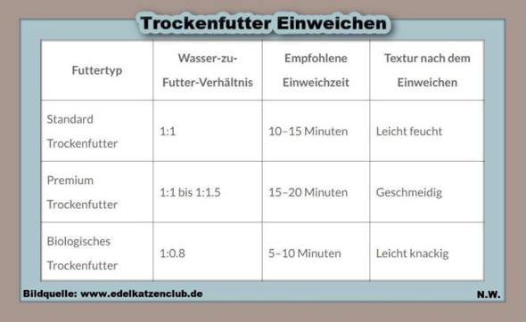 - (Katze, Tiermedizin, Tierschutz)
