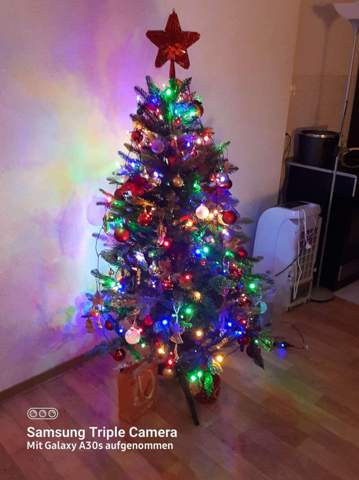 - (Weihnachten, Baum, Weihnachtsbaum)