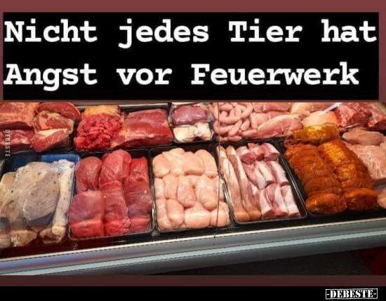 - (Menschen, Gesellschaft, Umwelt)