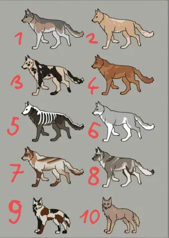- (Name, Ideen, wolfsrudel)