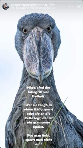 - (Leben, Welt)