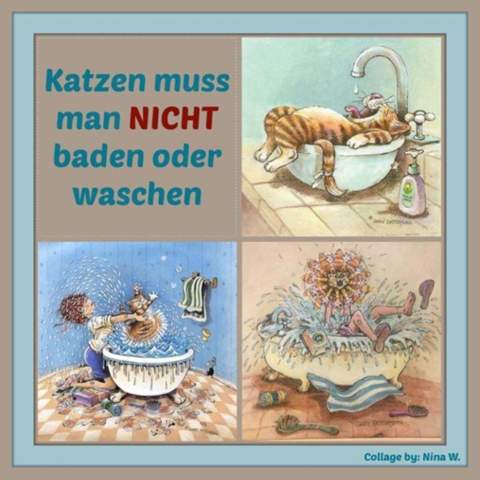 - (Katze, Katzenjunges, Tiermedizin)