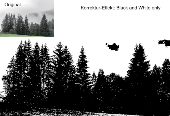 - (Bildbearbeitung, Bildbearbeitungsprogramm)