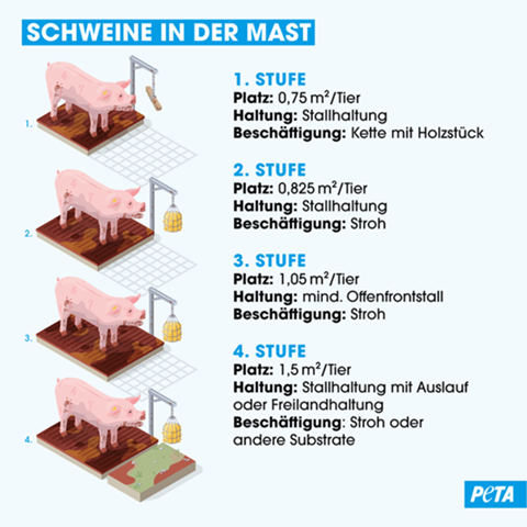 - (Gesundheit, Ernährung, Gesellschaft)