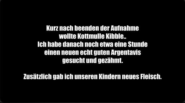 - (YouTube, App, Webseite)