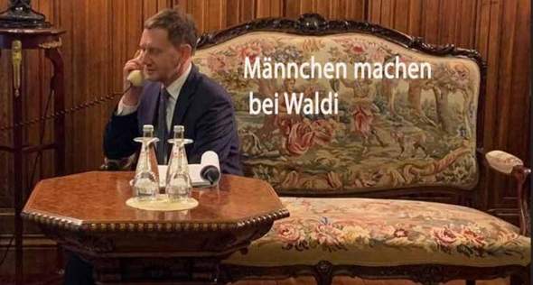 - (Wahlen, Partei, AfD)