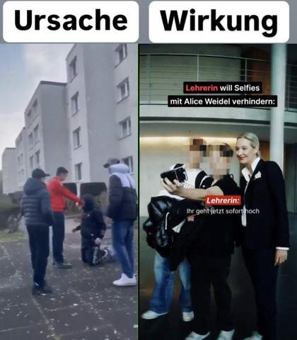 - (Frauen, Wahlen, Partei)