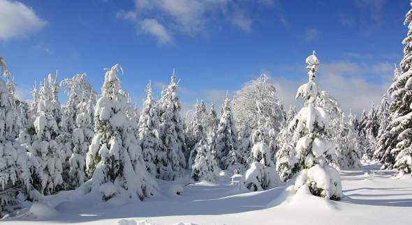 - (Weihnachten, Wetter, Schnee)