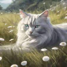 - (Buch, Roman, Warrior Cats)