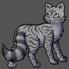 - (Buch, Roman, Warrior Cats)
