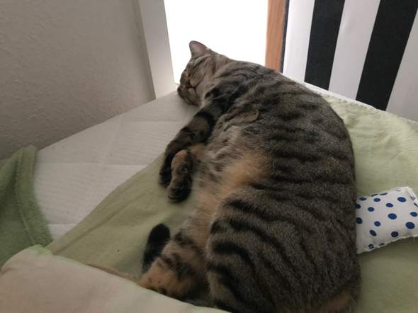 - (Mädchen, Frauen, Jungs)