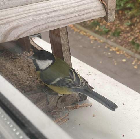 - (Ernährung, Futter, Tierschutz)