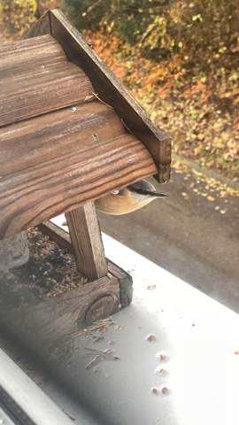 - (Ernährung, Futter, Tierschutz)