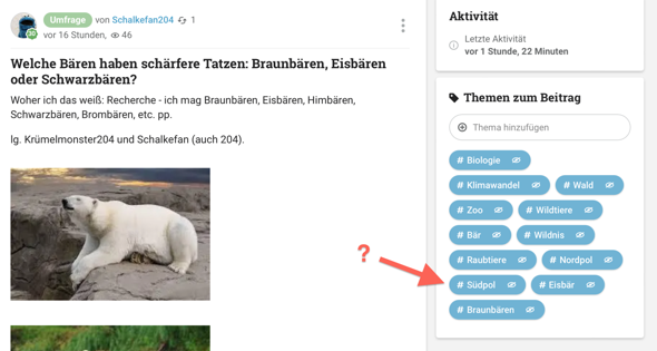 Bild zum Beitrag