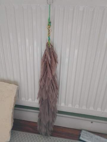 - (Spiritualität, Therianthropie, gear)