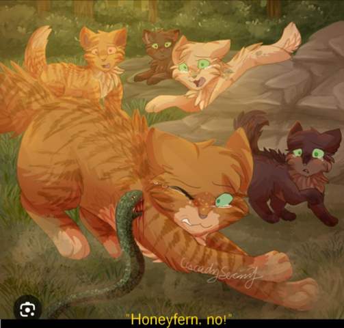 - (Buch, Fantasy, Warrior Cats)