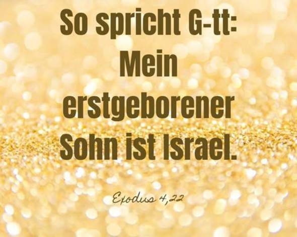 - (Krieg, Israel, Palästina)