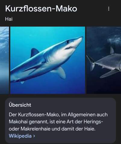- (Meer, Hai)