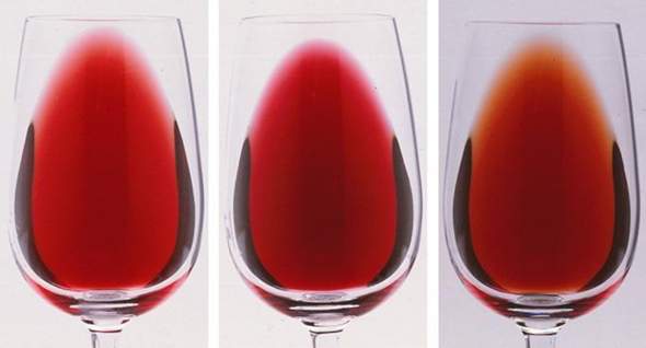 - (Haltbarkeit, Wein, Sommelier)