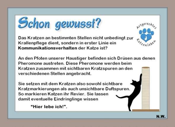 - (Ernährung, Kater, Tierhaltung)