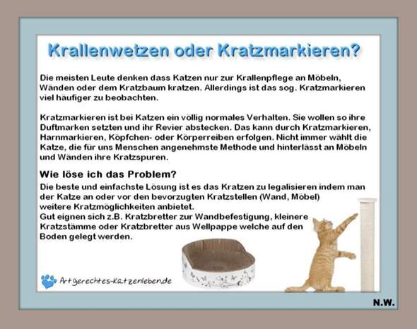 - (Ernährung, Kater, Tierhaltung)