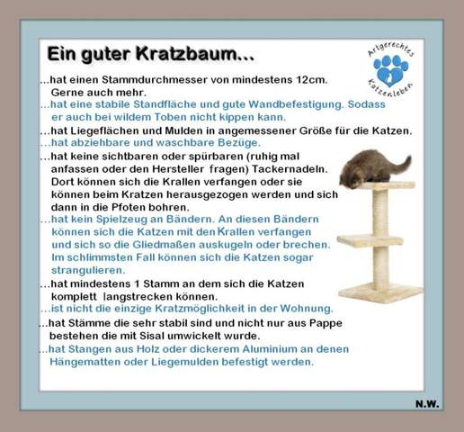 - (Ernährung, Kater, Tierhaltung)