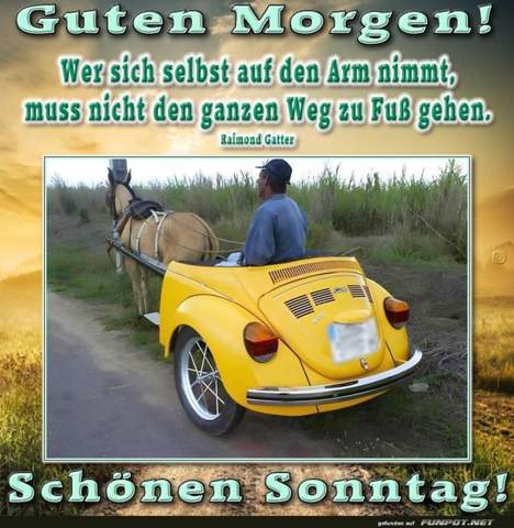 - (Feuerwerk, Gugumo)