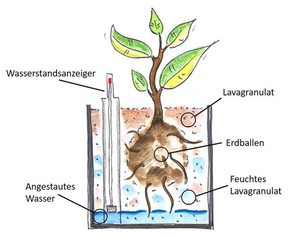 - (Wasser, Flecken, Erde)