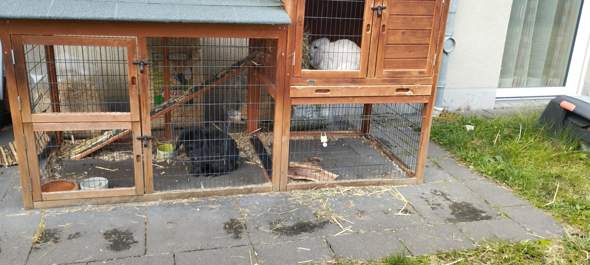 - (Kaninchen, Sauberkeit, Stall)