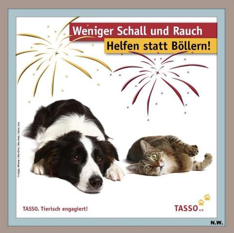 - (Umwelt, Tiermedizin, Tierschutz)