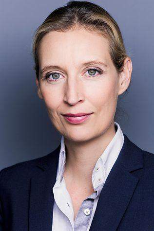- (Politik, Deutschland, Wahlen)