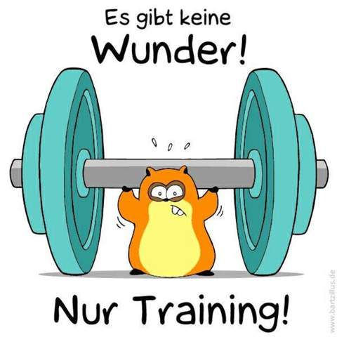 - (Sport, Lösung, bockspringen)