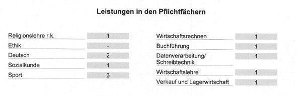 - (Schule, Lernen, Abitur)