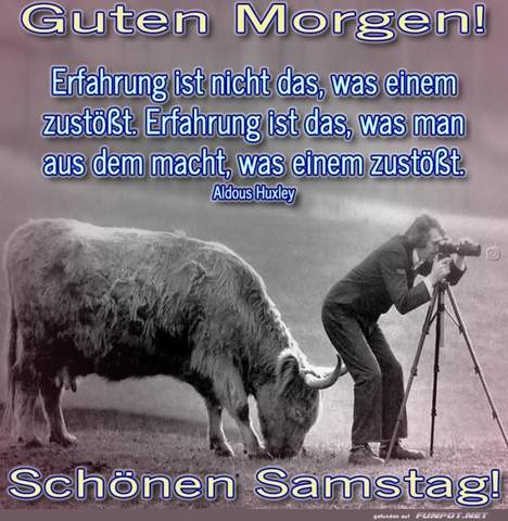 - (gutefrage.net, Gugumo)