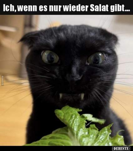 - (Kinder, Fleisch, gesunde Ernährung)