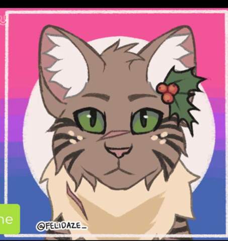 - (Buch, Warrior Cats, Erin Hunter)