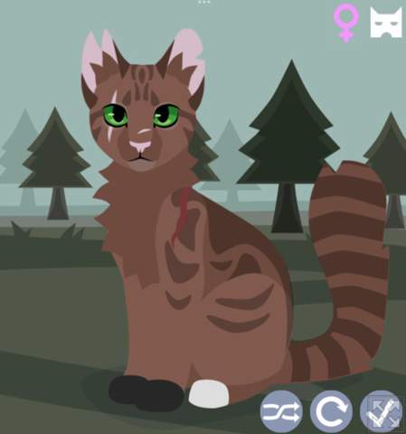 - (Buch, Warrior Cats, Erin Hunter)