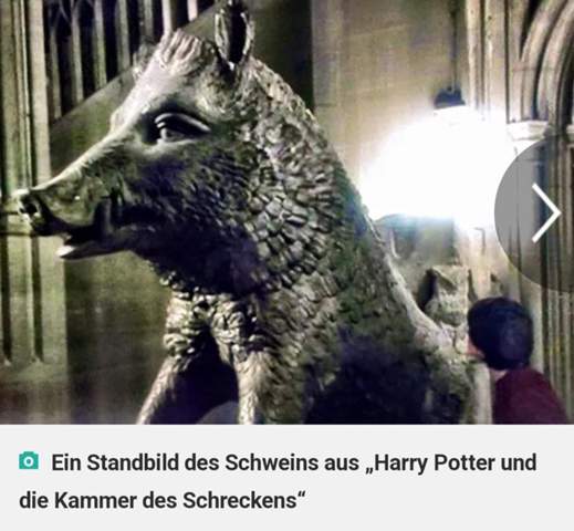 Bild zum Beitrag