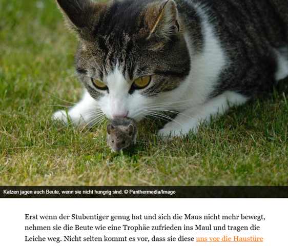 - (Mädchen, Frauen, Jungs)