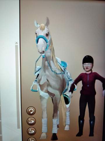 - (Pferd, Star Stable, Star Stable Pferde)