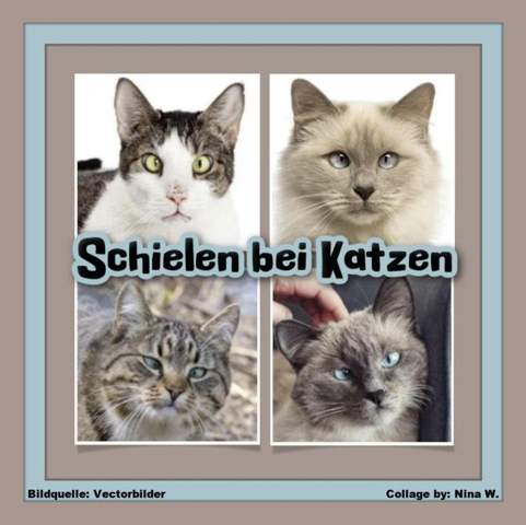 - (Psychologie, Medizin, Arzt)