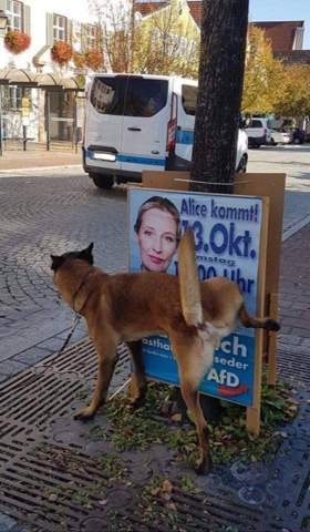 - (Bundestagswahl, Wahlkampf, Wahlplakat)
