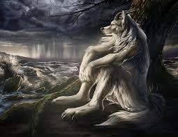 - (Wolf, Wölfe)