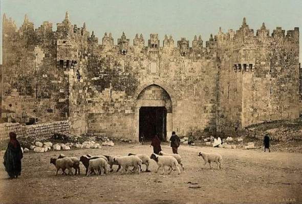 - (Islam, Krieg, Muslime)