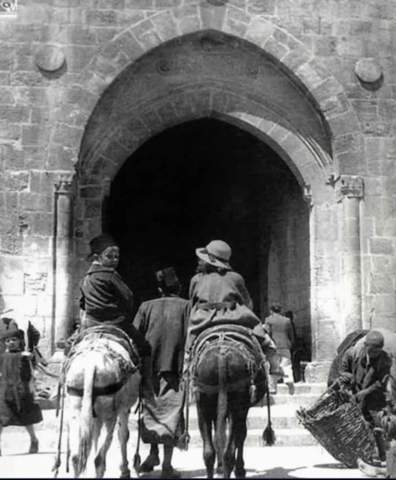 - (Islam, Krieg, Muslime)