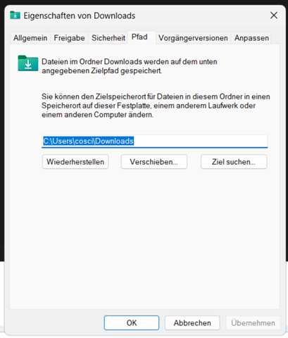 - (SSD, PC-Problem, Speicherplatz)