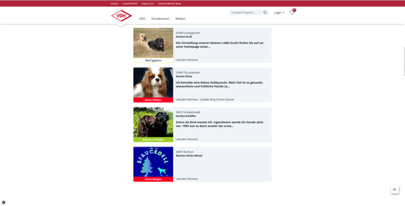 - (Welpen, Züchter, Welpenkauf)