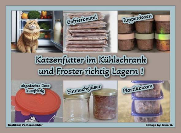 - (Ernährung, Katze, Tiermedizin)