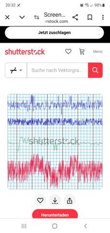 Bild zum Beitrag