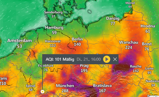 Bild zum Beitrag